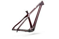 ARC 29 T-Series  Frame L